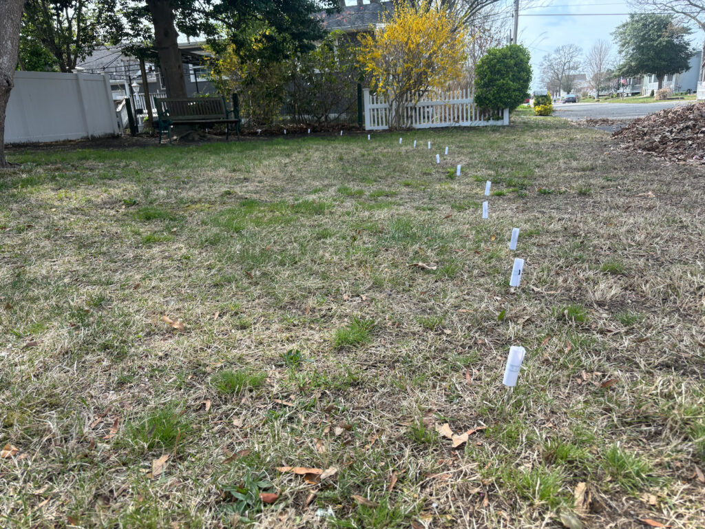 Backyard Ρύθμιση με σημαίες για ασύρματο φράχτη PetSafe