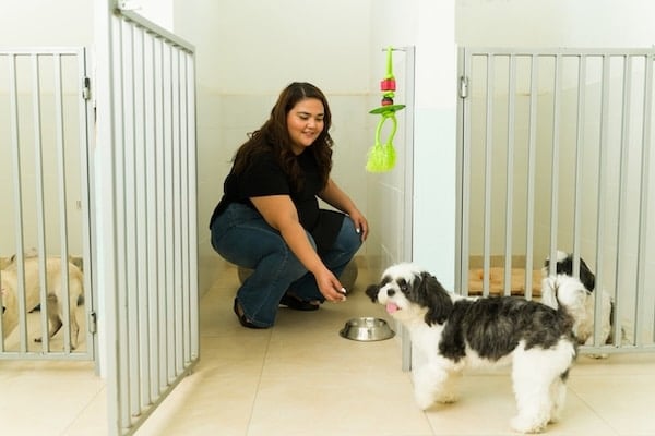Happy Kennel Worker που προσκαλεί το σκυλί στο ρείκε
