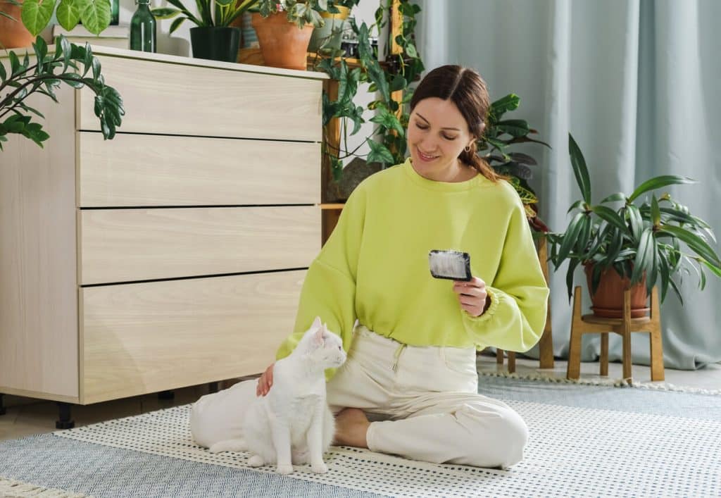 Pet Sitter βουρτσίζοντας μια γάτα κατά τη διάρκεια μιας επίσκεψης drop-in για να παρέχει συντροφιά και φαγητό